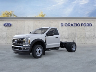 2025 Ford Super Duty F-450 DRW for sale in Wilmington IL