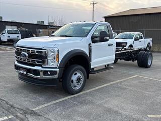 2024 Ford F-450SD for sale in Janesville WI