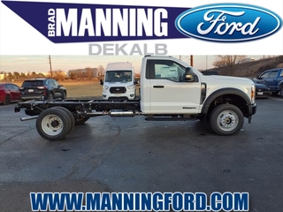 2024 Ford F-450SD for sale in Des Plaines IL