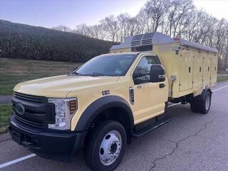 2019 Ford F 550