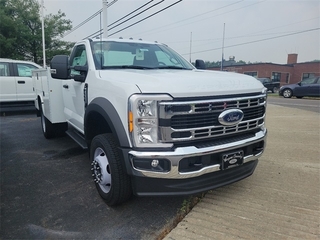 2023 Ford F-550SD for sale in Honesdale PA