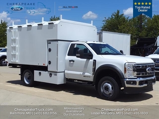 2024 Ford F550