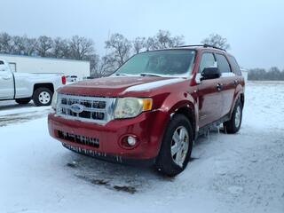 2008 Ford Escape for sale in Whitehall MI
