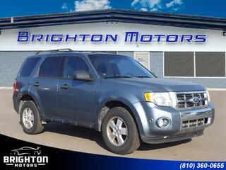 2008 Ford Escape for sale in Brighton MI