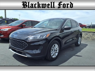 2022 Ford Escape Hybrid for sale in Plymouth MI