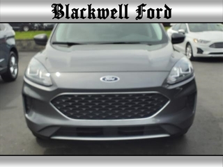 2022 Ford Escape Hybrid for sale in Plymouth MI