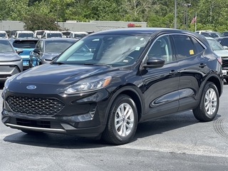 2021 Ford Escape Hybrid for sale in Linn MO