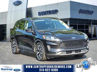2020 Ford Escape Hybrid for sale in Kirkwood MO