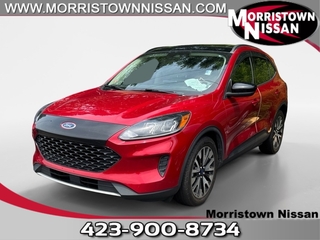 2020 Ford Escape Hybrid for sale in Morristown TN