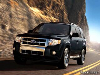 2010 Ford Escape for sale in Knoxville TN