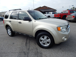 2011 Ford Escape for sale in Clarksville TN