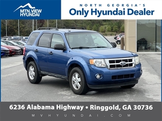 2010 Ford Escape for sale in Ringgold GA