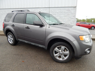 2010 Ford Escape for sale in Clarksville TN