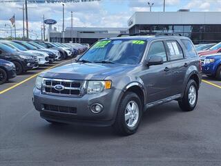 2011 Ford Escape for sale in Woodhaven MI