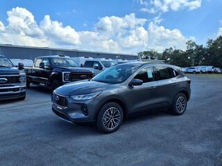 2025 Ford Escape Plug-In Hybrid for sale in Martinsburg WV