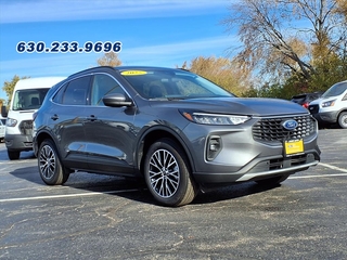 2025 Ford Escape Plug-In Hybrid for sale in Carol Stream IL