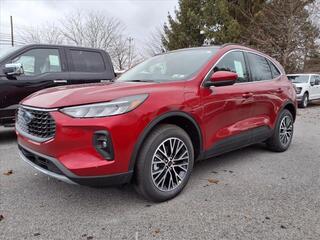 2025 Ford Escape Plug-In Hybrid for sale in State College PA