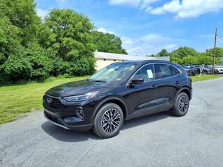 2025 Ford Escape Plug-In Hybrid for sale in Martinsburg WV