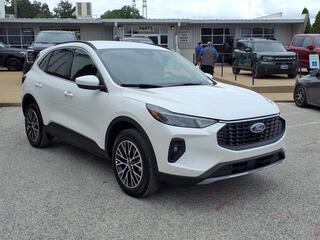 2025 Ford Escape Plug-In Hybrid for sale in Saint Louis MO