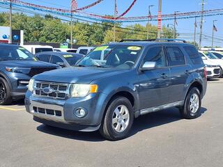 2010 Ford Escape for sale in Woodhaven MI