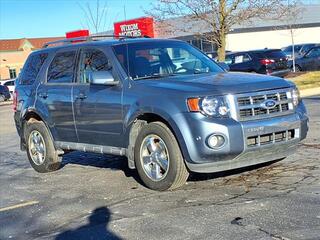 2010 Ford Escape for sale in Wixom MI