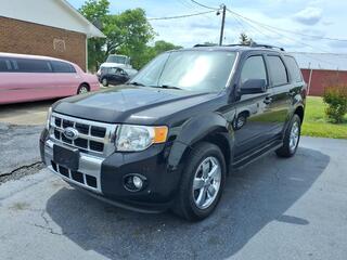 2010 Ford Escape for sale in Shelbyville TN