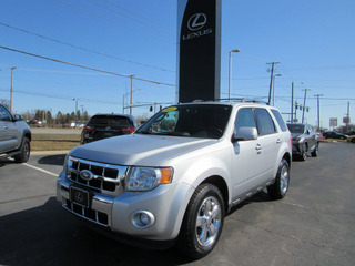 2011 Ford Escape for sale in Toledo OH