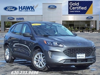 2022 Ford Escape for sale in Carol Stream IL