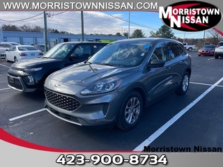 2022 Ford Escape for sale in Morristown TN