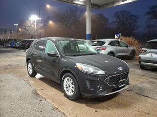 2022 Ford Escape for sale in Chicago IL