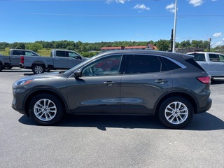 2020 Ford Escape for sale in Dandridge TN