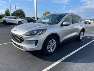 2020 Ford Escape for sale in Dandridge TN