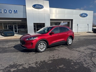 2020 Ford Escape for sale in Bowling Green KY