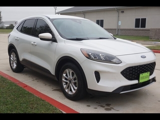 2020 Ford Escape for sale in Winchester VA