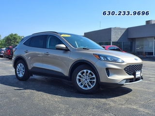 2021 Ford Escape for sale in Carol Stream IL