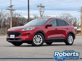 2020 Ford Escape for sale in Alton IL