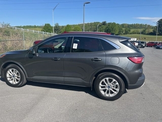2020 Ford Escape for sale in Chattanooga TN