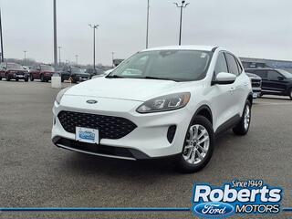 2020 Ford Escape for sale in Alton IL