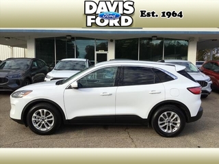 2020 Ford Escape for sale in Independence MO