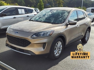 2020 Ford Escape for sale in Bristol TN