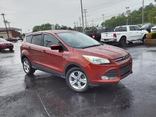 2016 Ford Escape for sale in Clarksville TN