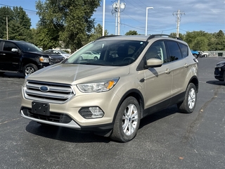 2018 Ford Escape for sale in Du Quoin IL