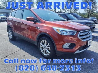 2019 Ford Escape for sale in Canton NC