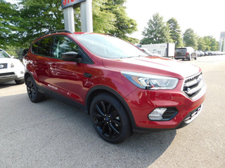 2019 Ford Escape for sale in Clarksville TN