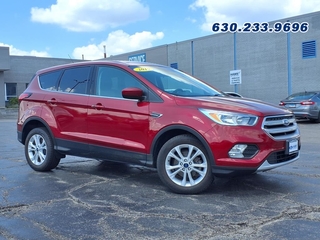 2019 Ford Escape for sale in Carol Stream IL