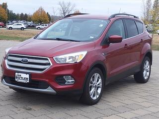 2019 Ford Escape for sale in Chesterfield MO