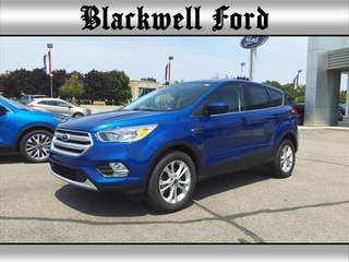 2019 Ford Escape for sale in Plymouth MI