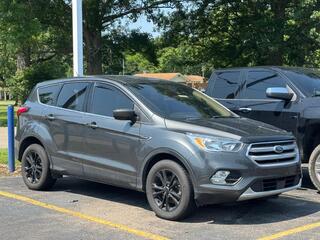 2019 Ford Escape for sale in Cincinnati OH