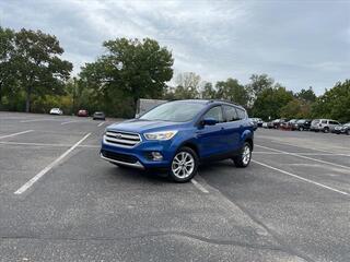 2018 Ford Escape for sale in St.Clair Shores MI