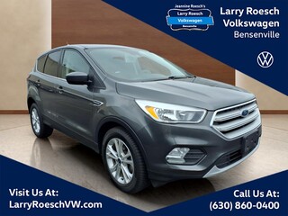 2019 Ford Escape for sale in Elmhurst IL